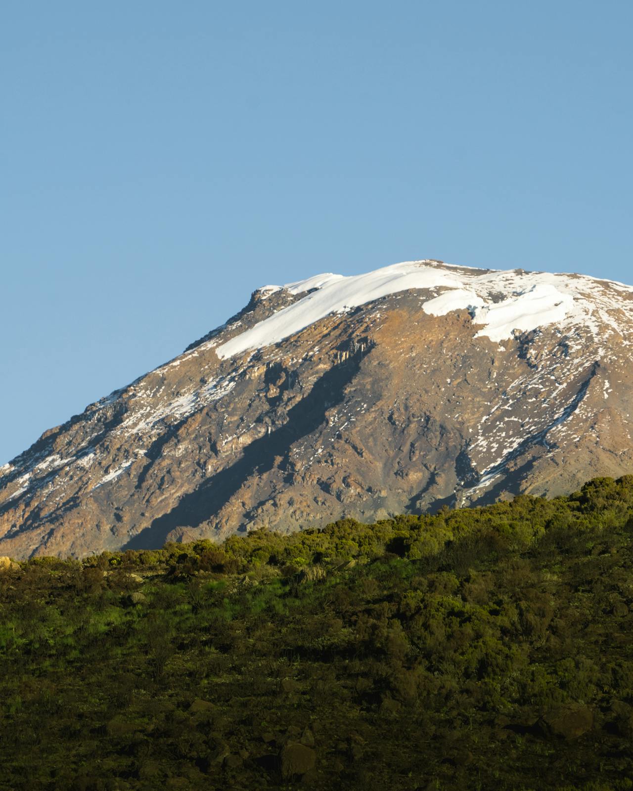 mount kilimanjaro guide